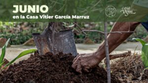 Lee más sobre el artículo Programación de la Casa Vitier García Marruz para junio de 2025