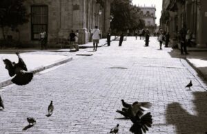 Lee más sobre el artículo La Habana: crónica en un prólogo y tres movimientos