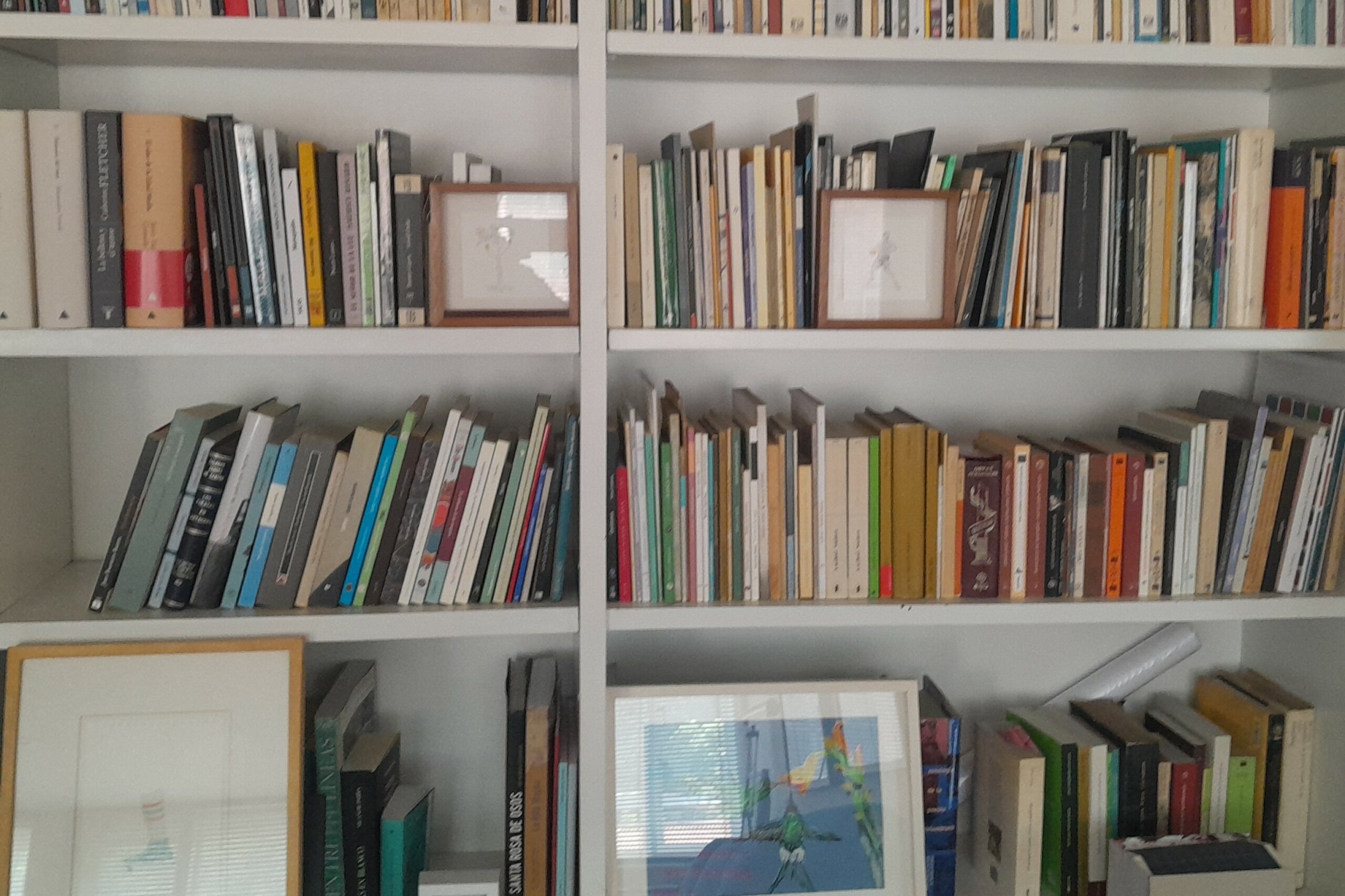 Lee más sobre el artículo “Un libro, para mí, es unas horas que me esperan de silencio”